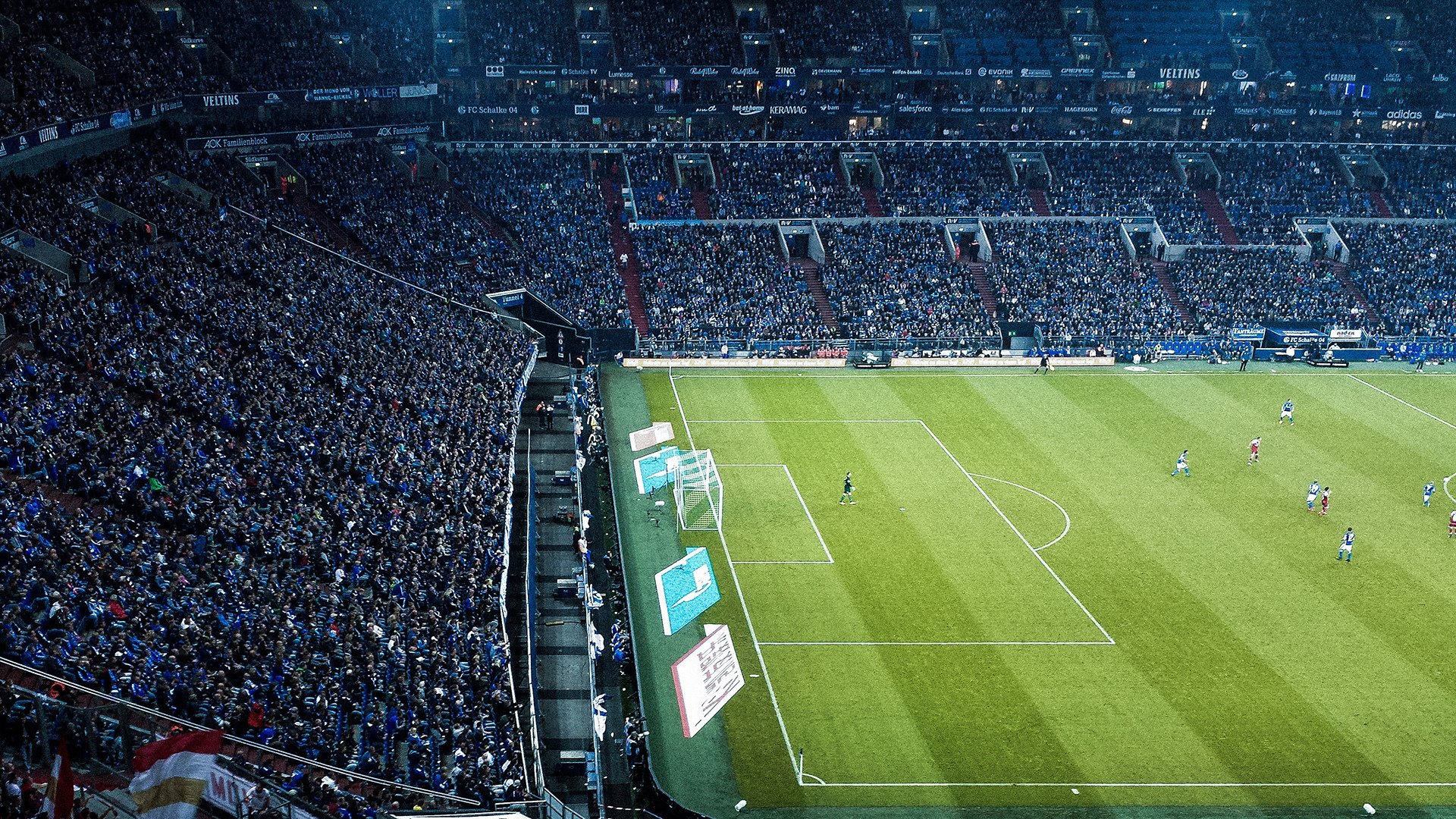 Brown 赛场表现全面引关注