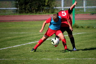 中国足球职业联赛推动俱乐部市场化运营，我国足球俱乐部的基本模式